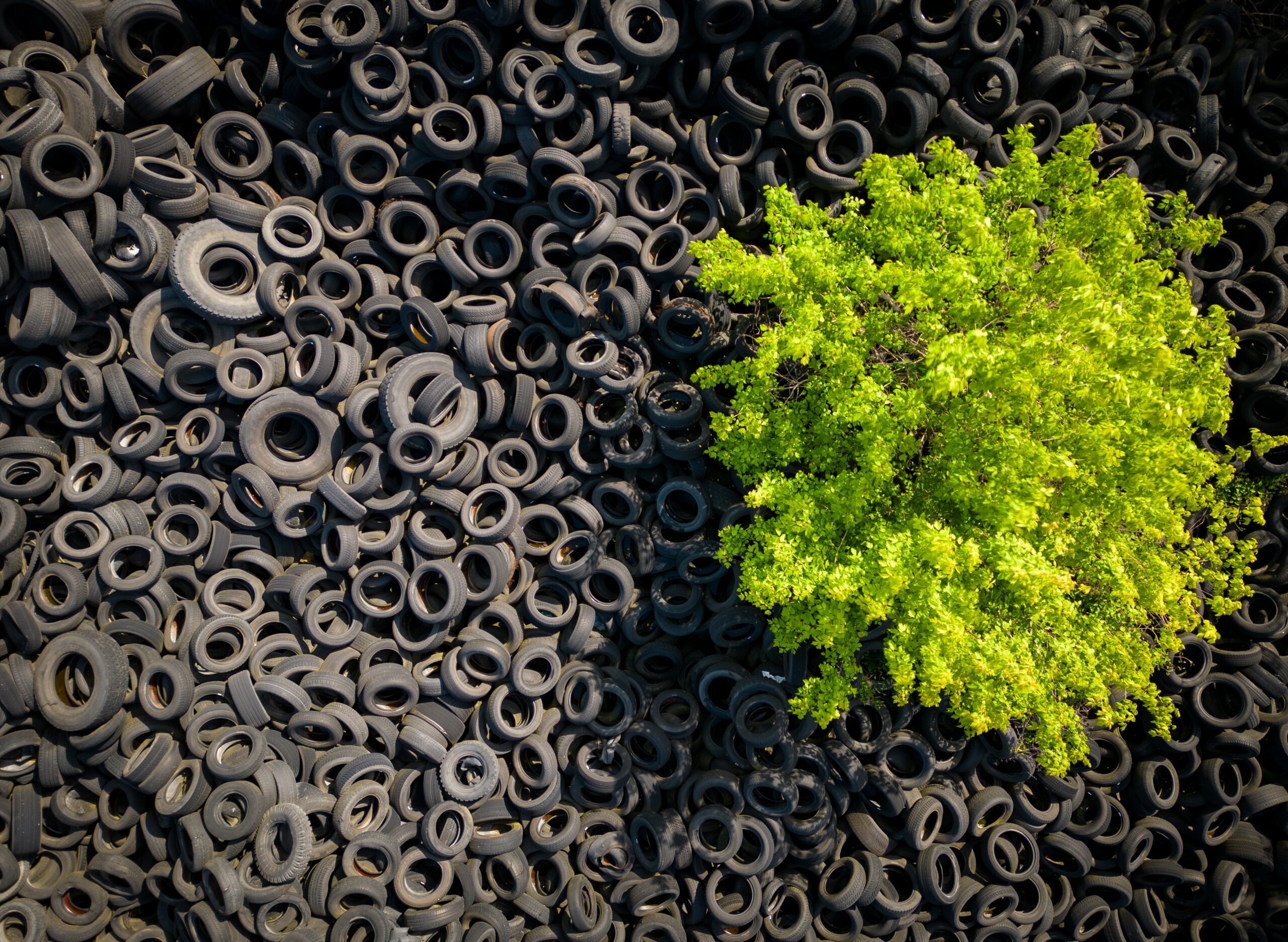 مشاريع تحويل النفايات إلى طاقة